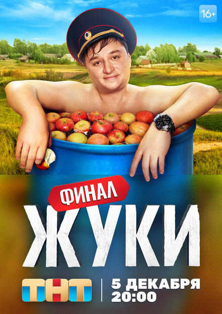 Жуки